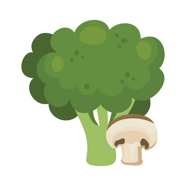 Broccoli freschi con verdure ai funghi — Vettoriale Stock