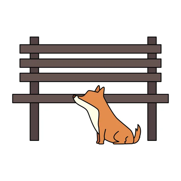 Cão com cadeira de madeira do parque —  Vetores de Stock