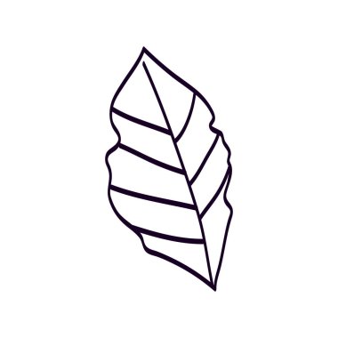 Yaprak doğa ekolojisi ikonu izole