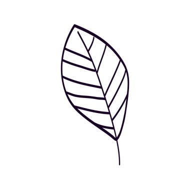 Yaprak doğa ekolojisi ikonu izole