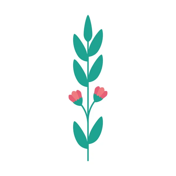 Branch with leafs natural isolated icon — 图库矢量图片