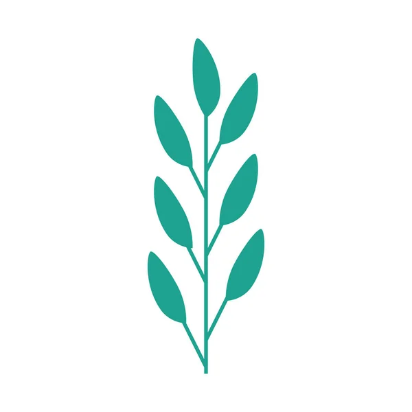 Rama con hojas icono aislado natural — Vector de stock