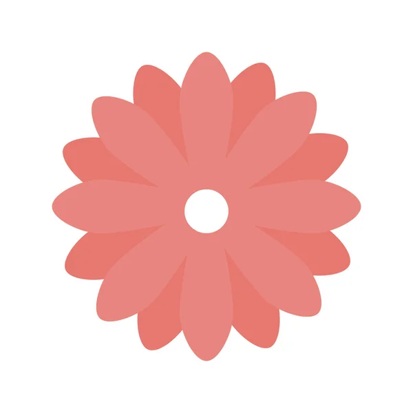 Cute flower pink color isolated icon — Stock Vector