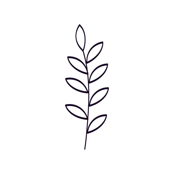 Rama con hojas estilo de línea natural — Vector de stock
