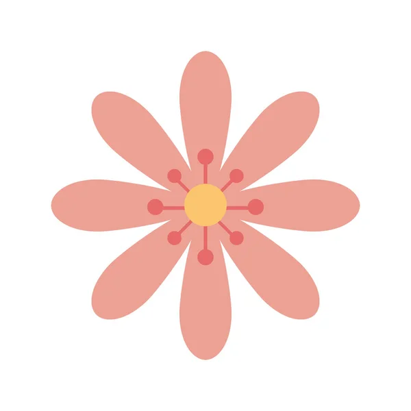 Lindo color rosa flor aislado icono — Vector de stock