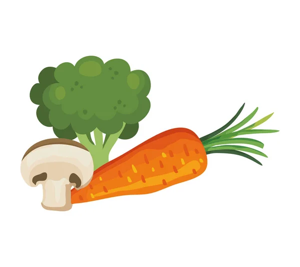Frischer Brokkoli mit Gemüse vereinzelt Symbole — Stockvektor