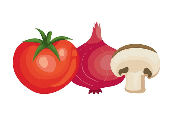 Tomate fraîche à l'oignon violet et aux champignons — Image vectorielle