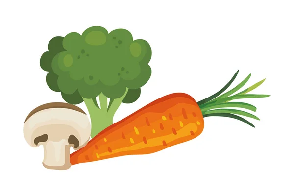 Verse wortel met broccoli en champignon — Stockvector