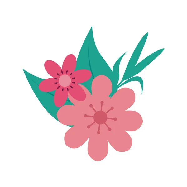 Lindas flores de color rosa con hojas — Vector de stock