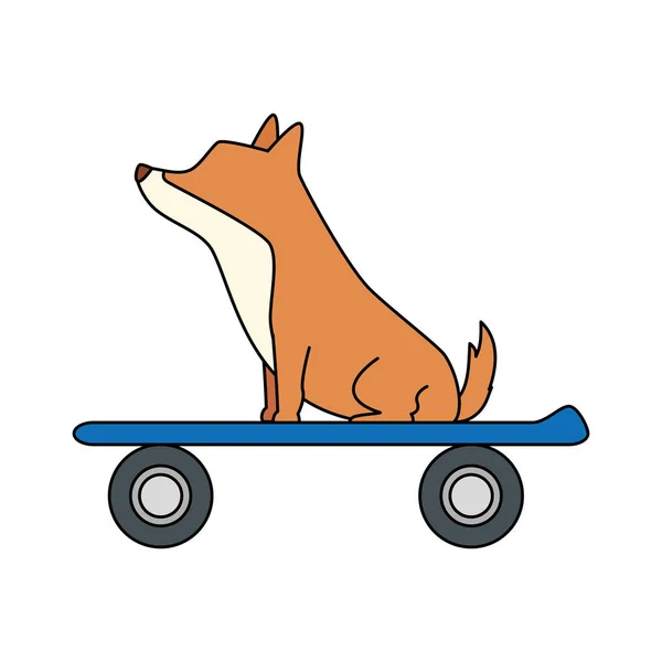 Carino cane animale in skateboard isolato icona — Vettoriale Stock