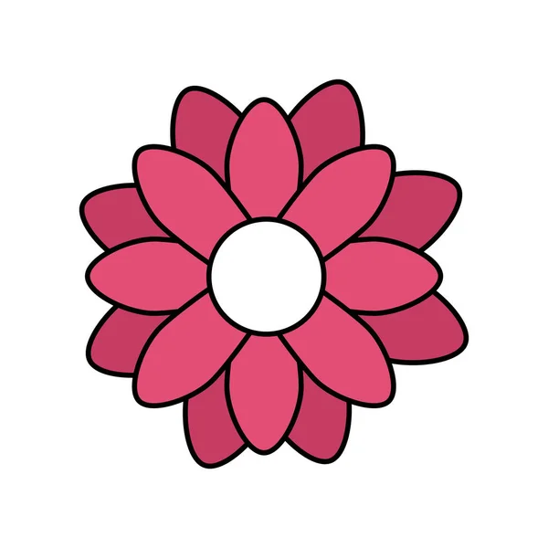 Schattig bloem roze kleur geïsoleerd pictogram — Stockvector