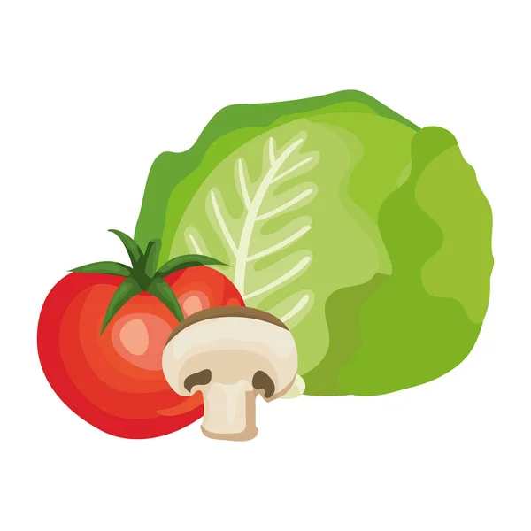 Свежий помидор с грибами и салатом — стоковый вектор
