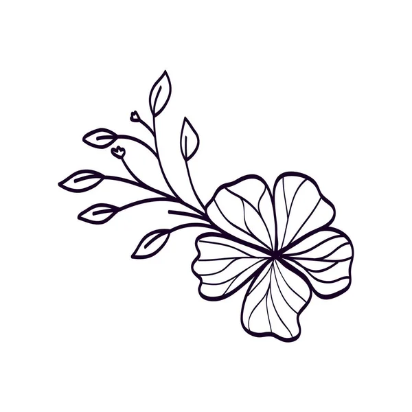 Niedliche Blume mit Zweig und Blättern Linie Stil-Symbol — Stockvektor