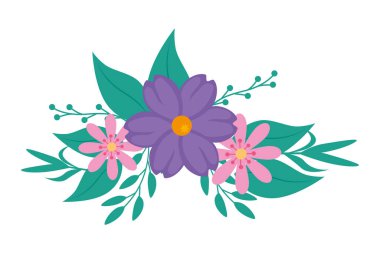 Şirin çiçek mor ve pembe renk dalları ve yaprakları var