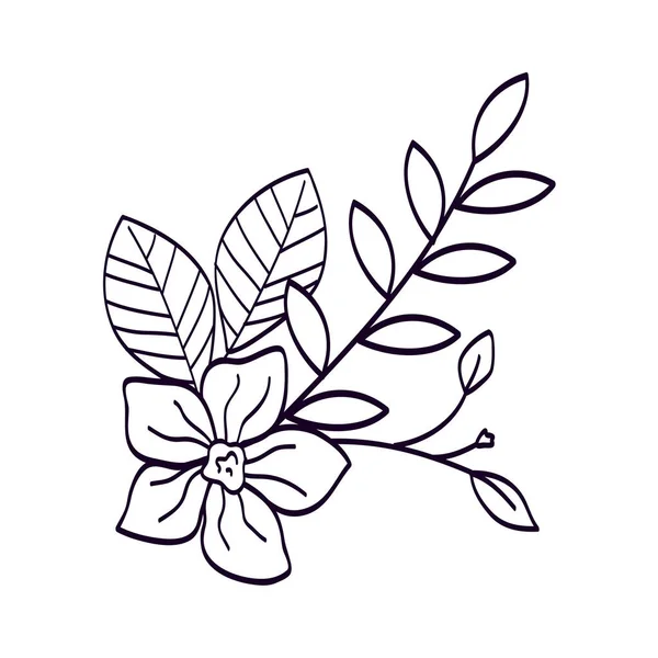 Linda flor con ramas y hojas icono de estilo de línea — Archivo Imágenes Vectoriales