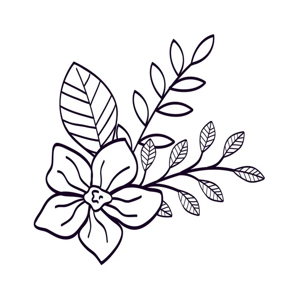 Cute flower with branches and leafs line style icon — Stock Vector