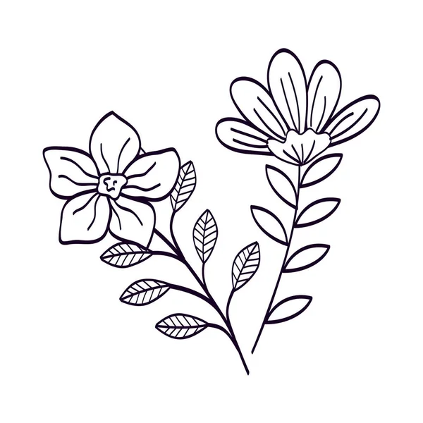 Cute flowers with branches and leafs line style icon — Stock Vector