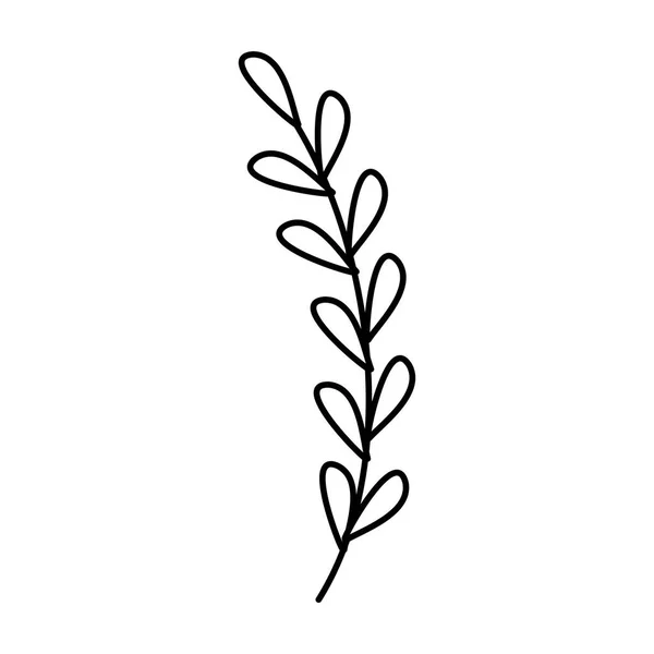 Zweig mit Blättern natürliche Linie Stil — Stockvektor