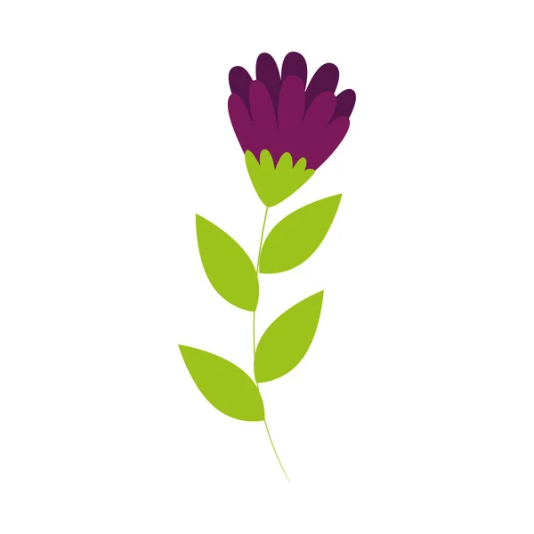 Söt blomma lila med gren och blad isolerade ikon — Stock vektor