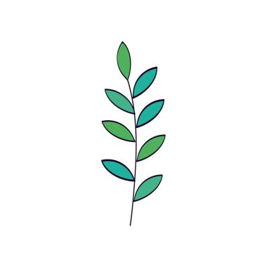 branch with leafs natural isolated icon