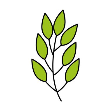 branch with leafs natural isolated icon