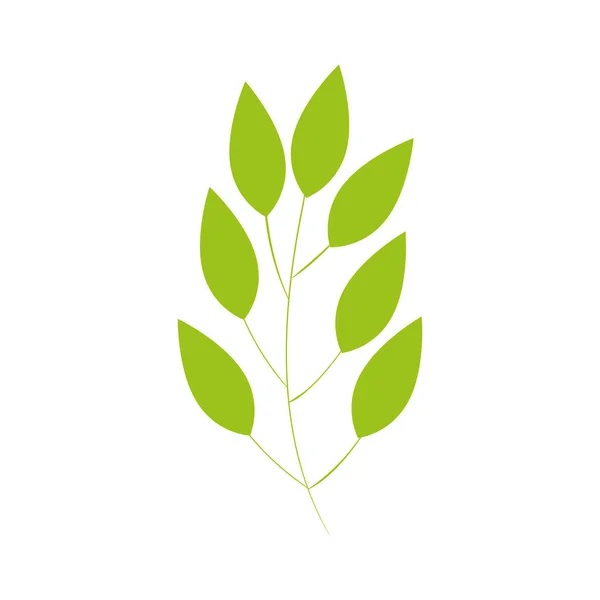 Branch with leafs natural isolated icon — Stockový vektor