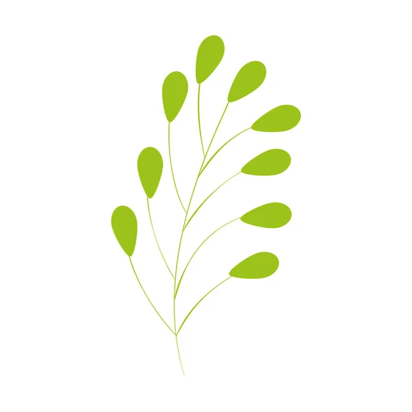 Ветвь с листьями природной изолированной иконки — стоковый вектор
