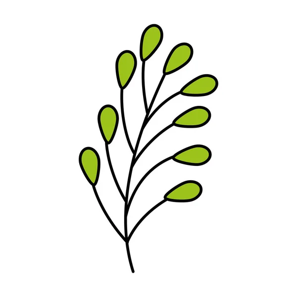 Branch with leafs natural isolated icon — 图库矢量图片