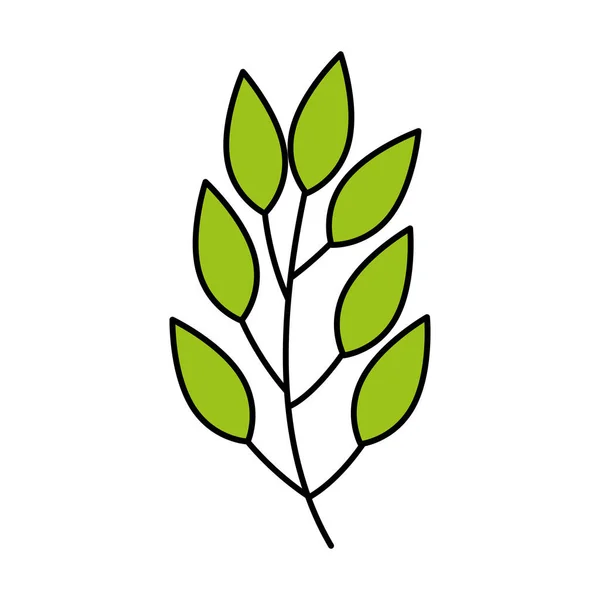 Branch with leafs natural isolated icon — 图库矢量图片