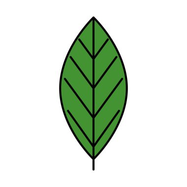 Yaprak doğa ekolojisi ikonu izole