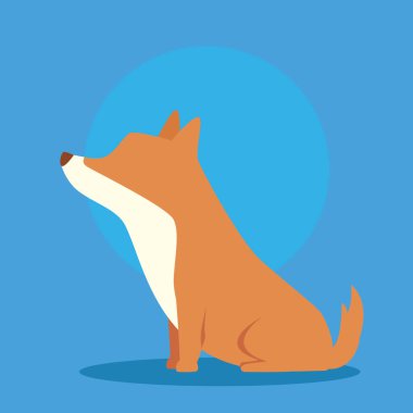 Mavi arka planda sevimli bir köpek.