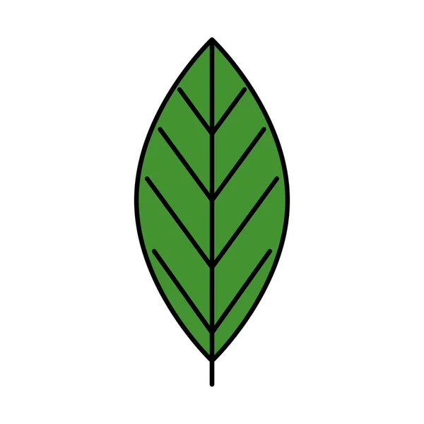 叶子自然生态隔离图标 — 图库矢量图片