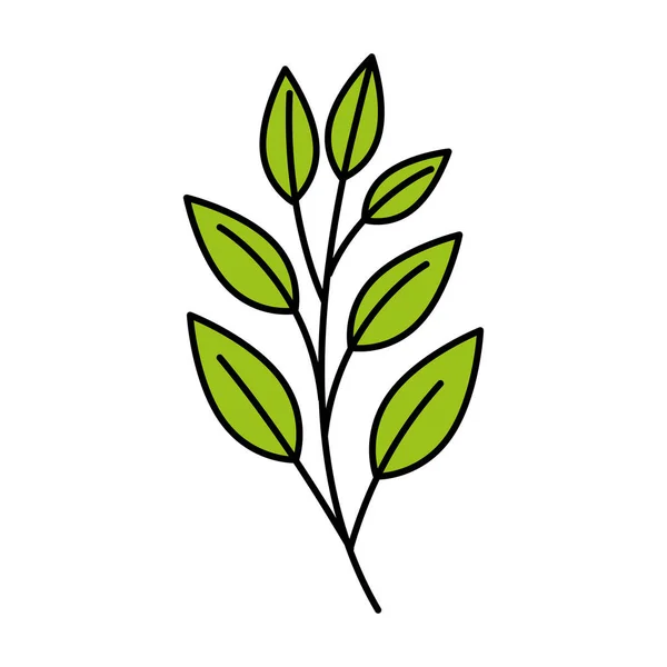 Branch with leafs natural isolated icon — Stockvektor