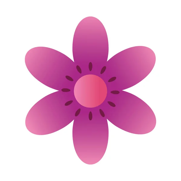 Χαριτωμένο λουλούδι μοβ χρώμα απομονωμένο εικονίδιο — Διανυσματικό Αρχείο