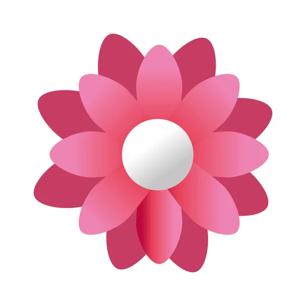 Cute flower pink color isolated icon — Stock Vector