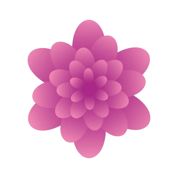 Cute flower purple color isolated icon — Stock Vector