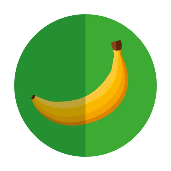 Färsk banan frukt i ram cirkulär — Stock vektor