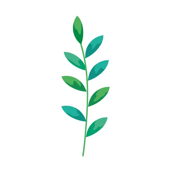 Branch with leafs natural isolated icon — 스톡 벡터