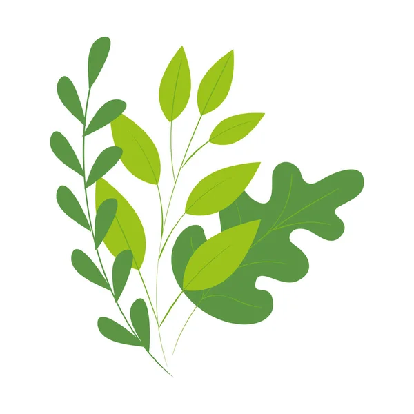 Ramas con hojas icono aislado natural — Vector de stock
