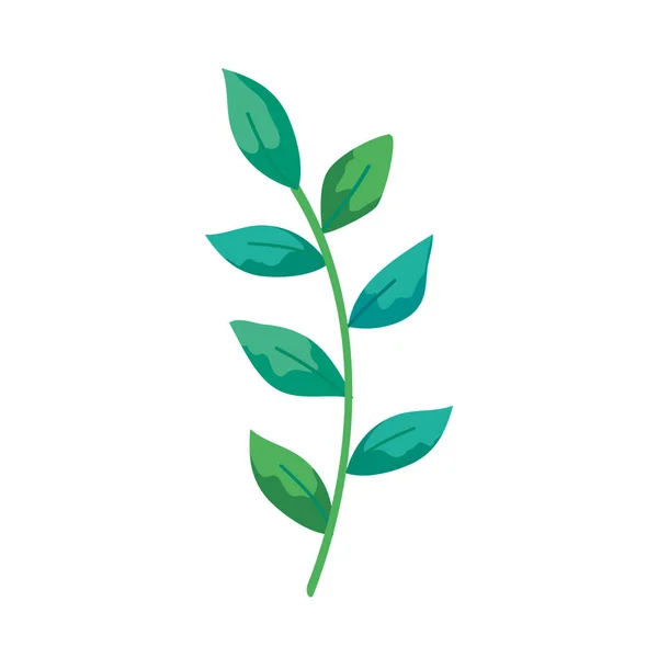 Branch with leafs natural isolated icon — Stockový vektor