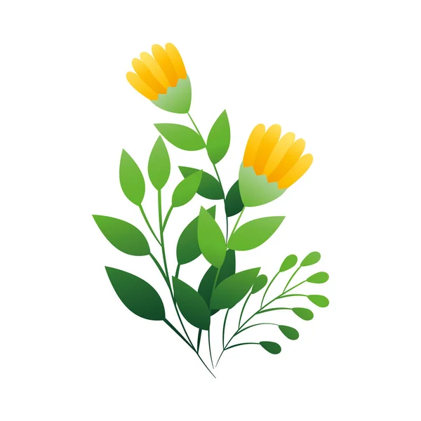 Lindas flores de color amarillo con ramas y hojas — Archivo Imágenes Vectoriales