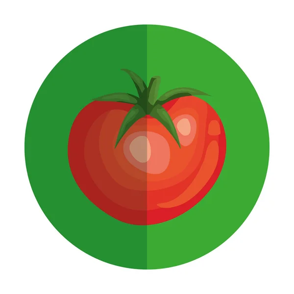 Légumes tomates fraîches en cadre circulaire — Image vectorielle