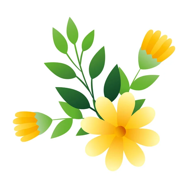 Niedliche Blumen gelbe Farbe mit Zweigen und Blättern — Stockvektor