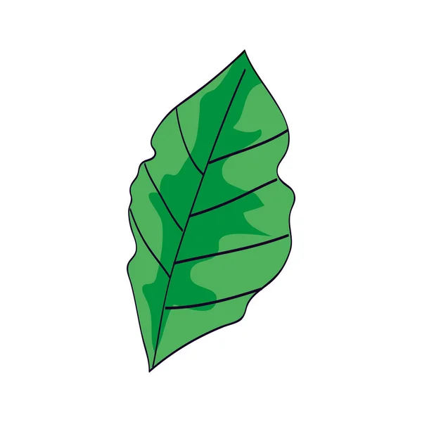 Leaf nature ecology isolated icon — Stock Vector