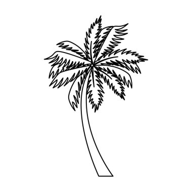 Ağaç palmiyesi egzotik izole simgesi