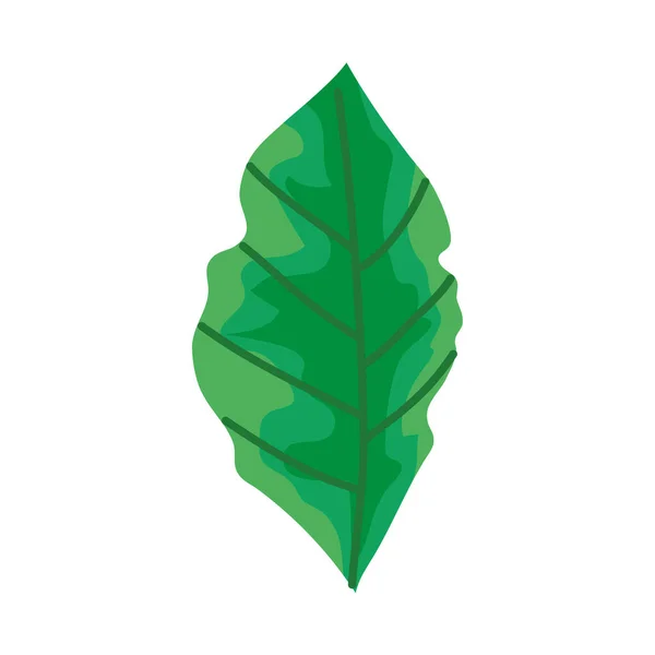 Hoja naturaleza ecología aislado icono — Vector de stock