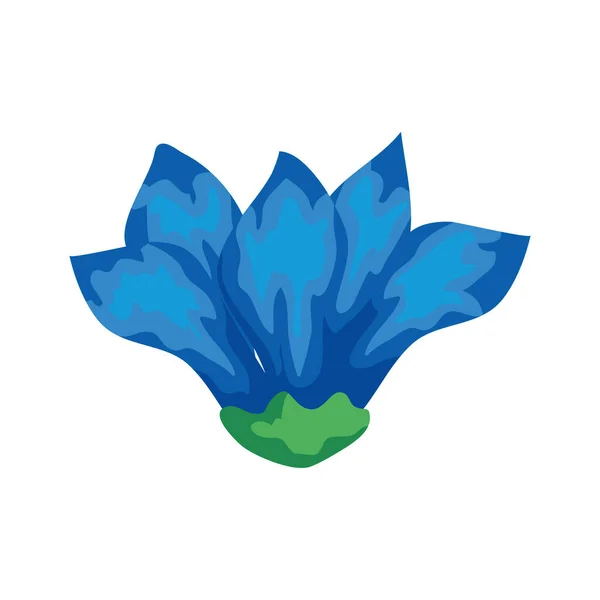 Lindo icono de color azul flor aislado — Archivo Imágenes Vectoriales
