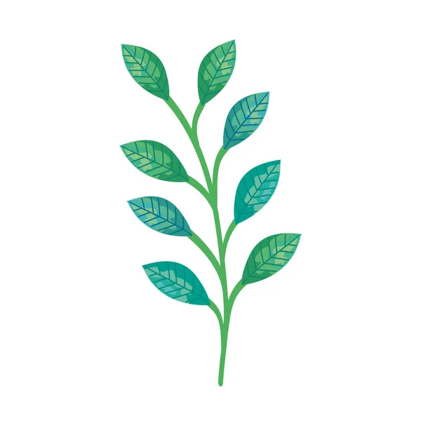 Rama con hojas icono aislado natural — Archivo Imágenes Vectoriales