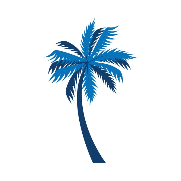 Экзотическая изолированная икона пальмы — стоковый вектор