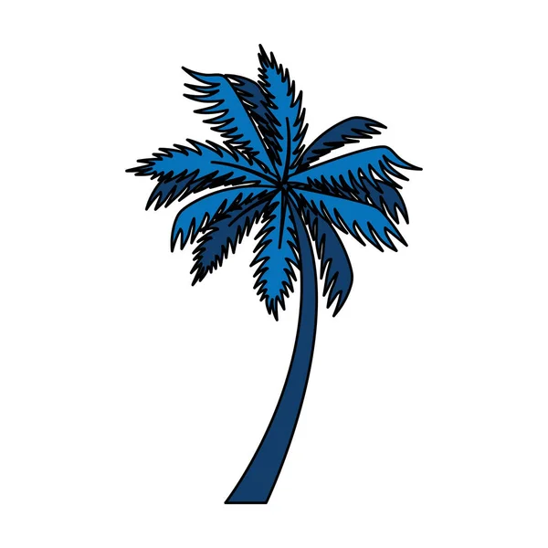 Tree palm exotic isolated icon — Stock Vector